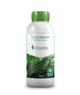 Botella Algafer