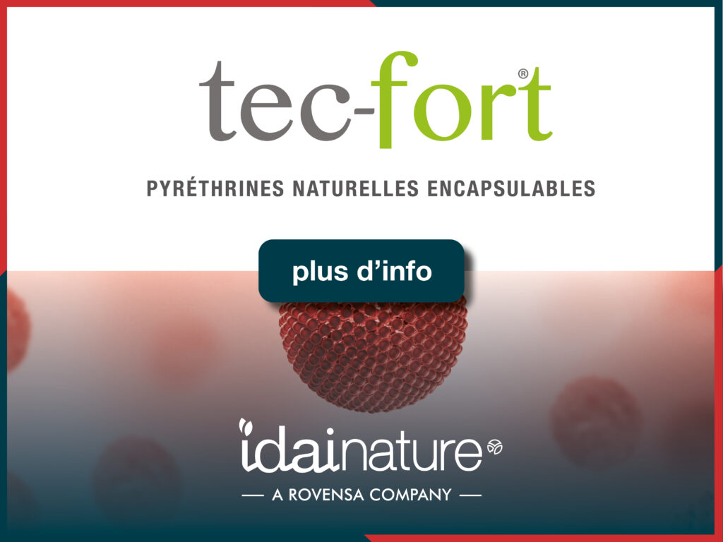 Tec-Fort Francia Idai Nature