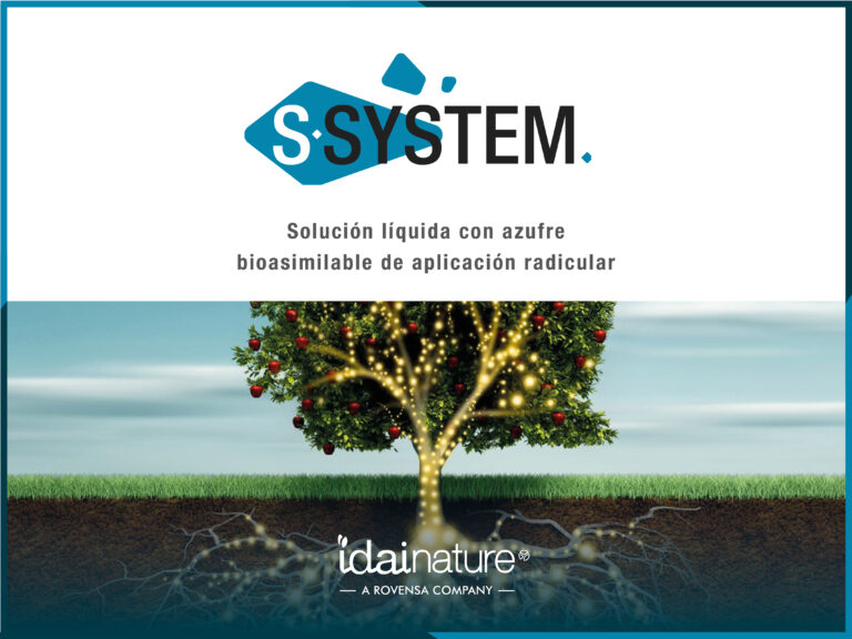 S-system