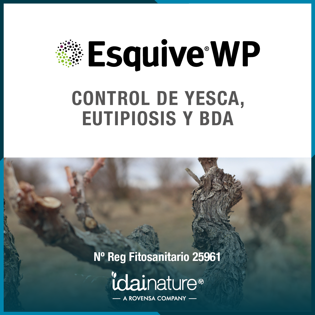 enfermedades de madera de la vid